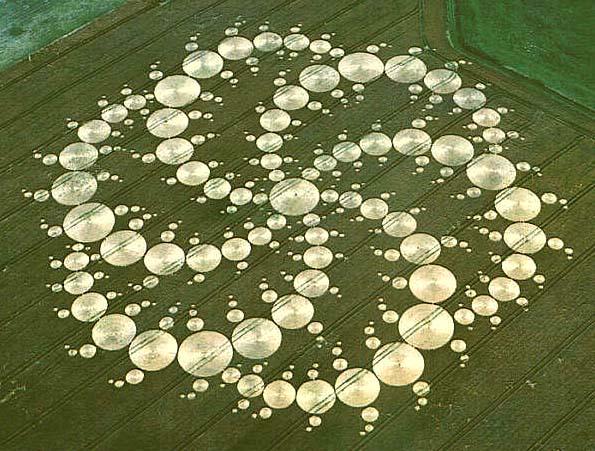 Crop circles in a field